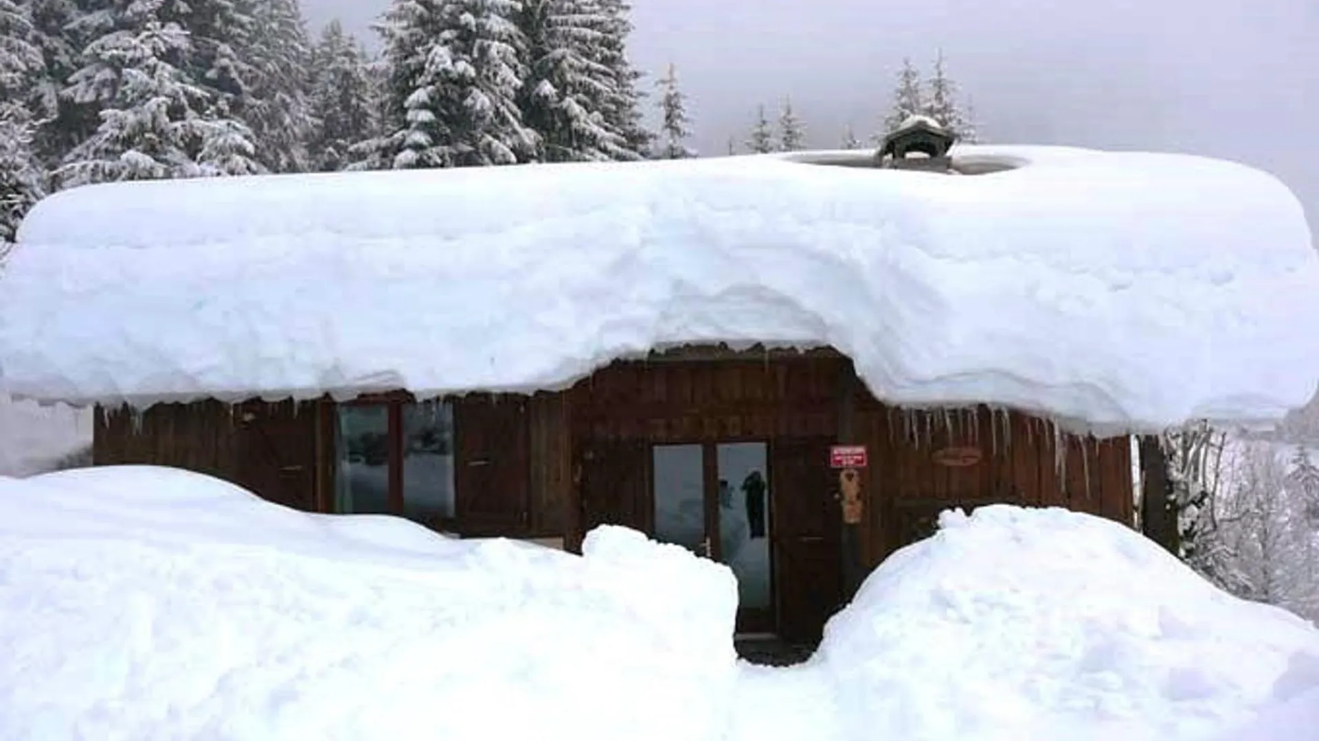 Chalet Cosy Sur Pistes Avec Cheminee, Terrasse Et Studio Independant Pour 14 Pers. - Fr-1-342-239 Beaufort   Beaufort (Savoie)